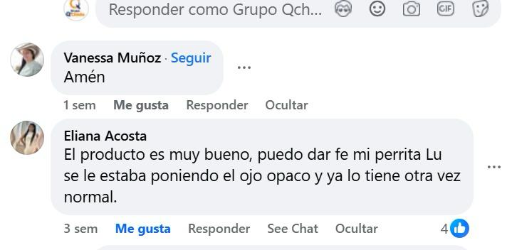 Captura del comentario de Eliana Acosta sobre el ojo opaco de su perrita Lu.