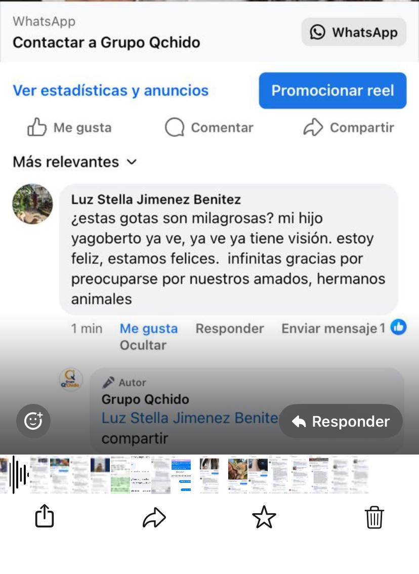 Captura del comentario de Luz Stella sobre su mascota Yagoberto.